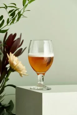 Aida Copa De Cerveza Café 40 Cl 7 Aida Copa De Cerveza Café 40 Cl -Menaje de mesa Ventas 508885 01 3 EnvironmentImage c2f31854e0