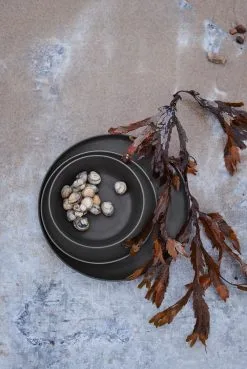 Rosendahl Set De 2 Platillos Grand Cru Take Ø19,5 Cm -Menaje de mesa Ventas 510588 01 5 EnvironmentImage ecb6ec0940